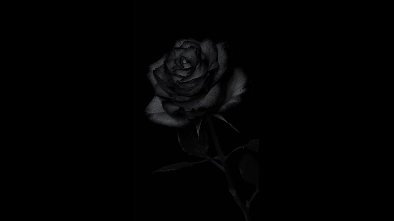 [Free for profit] (Very sad) Talha Anjum x talhah yunus x Bol Jani - Anjaan | Prod. by @Illuminhadi