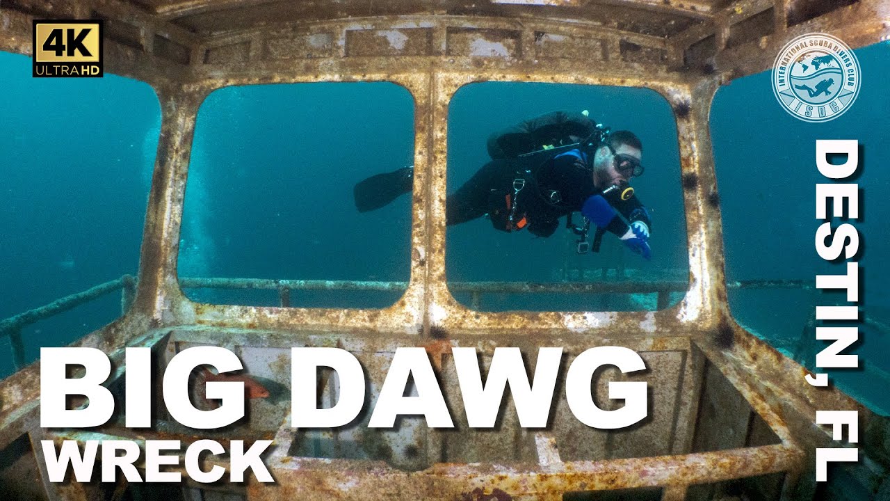#Wreck Diving: Big Dawg (Destin, Florida)