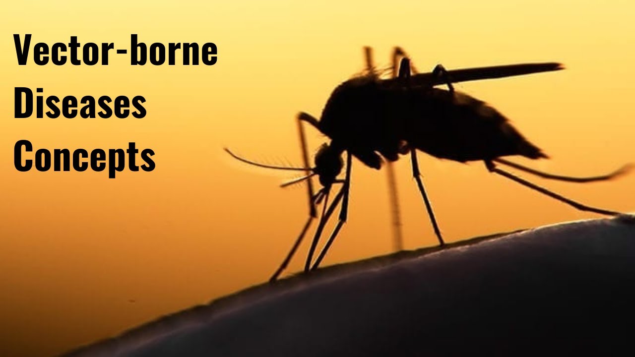 Vector-borne Diseases Concepts