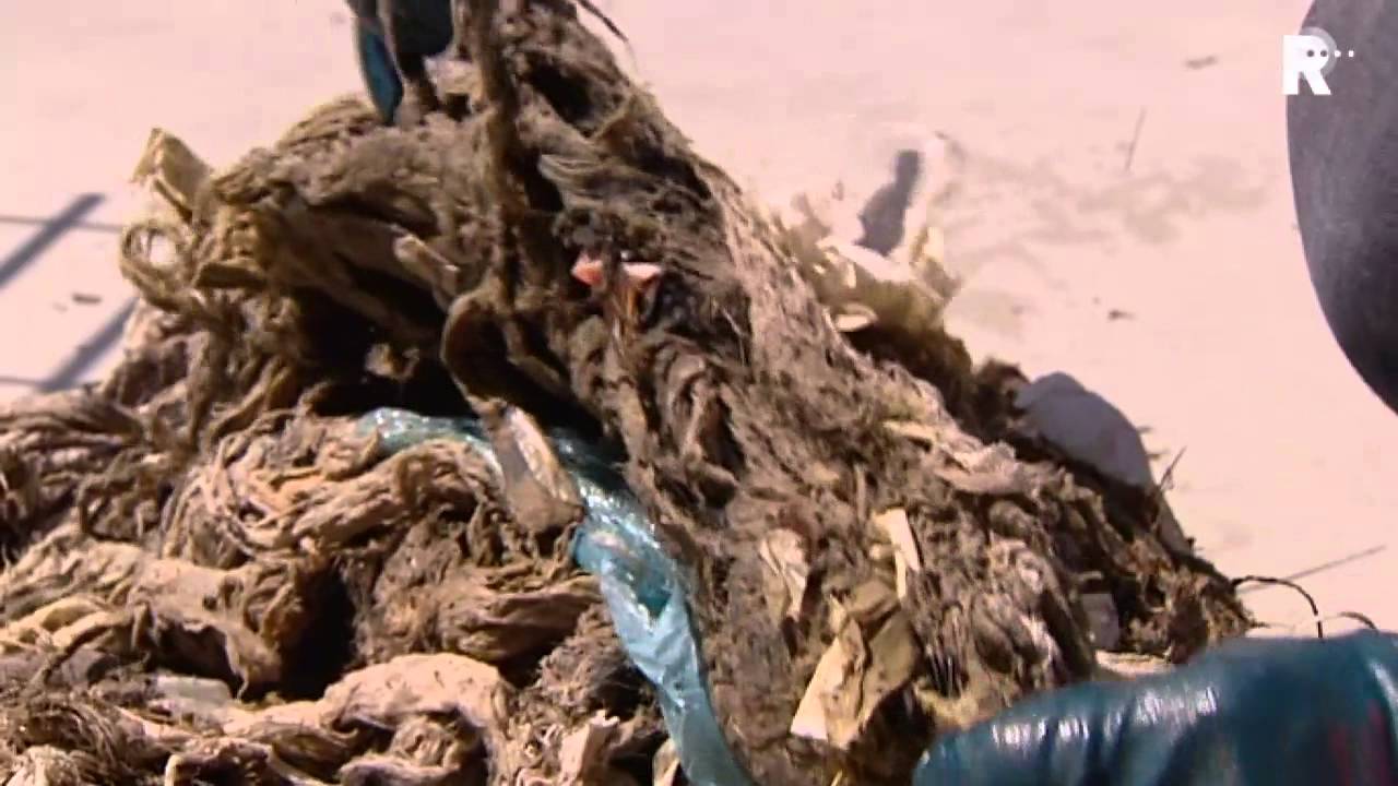 Tampons, frituurvet en natte doekjes op Open Riooldag