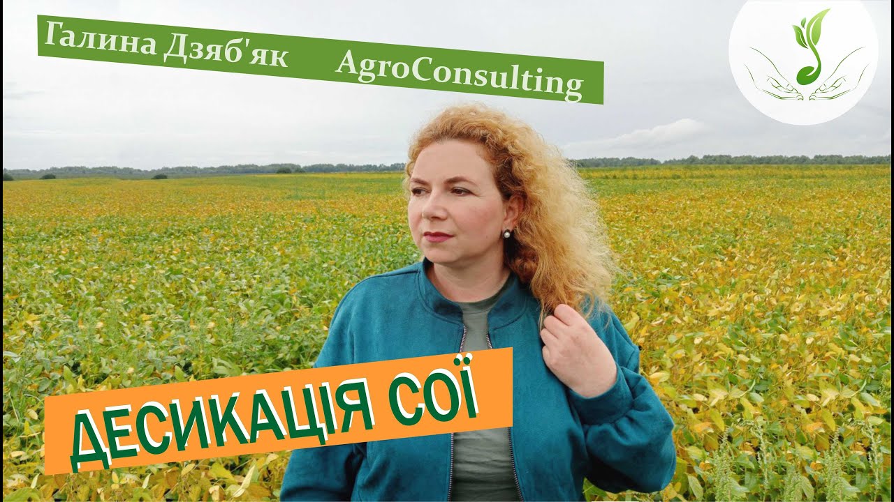 Підстави для десикації сої. Обираємо діючу речовину.