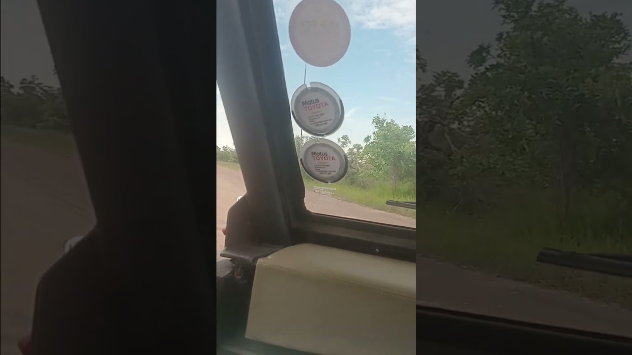 Driving in the Kruger National Park  Part 1
