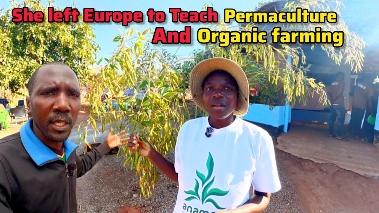 Celebrating stories of change at Ubuntu Zambia  through permaculture and organic farming