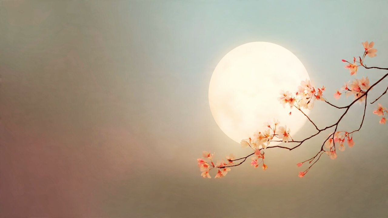 Pure & quiet🌙A serene melody for a peaceful evening