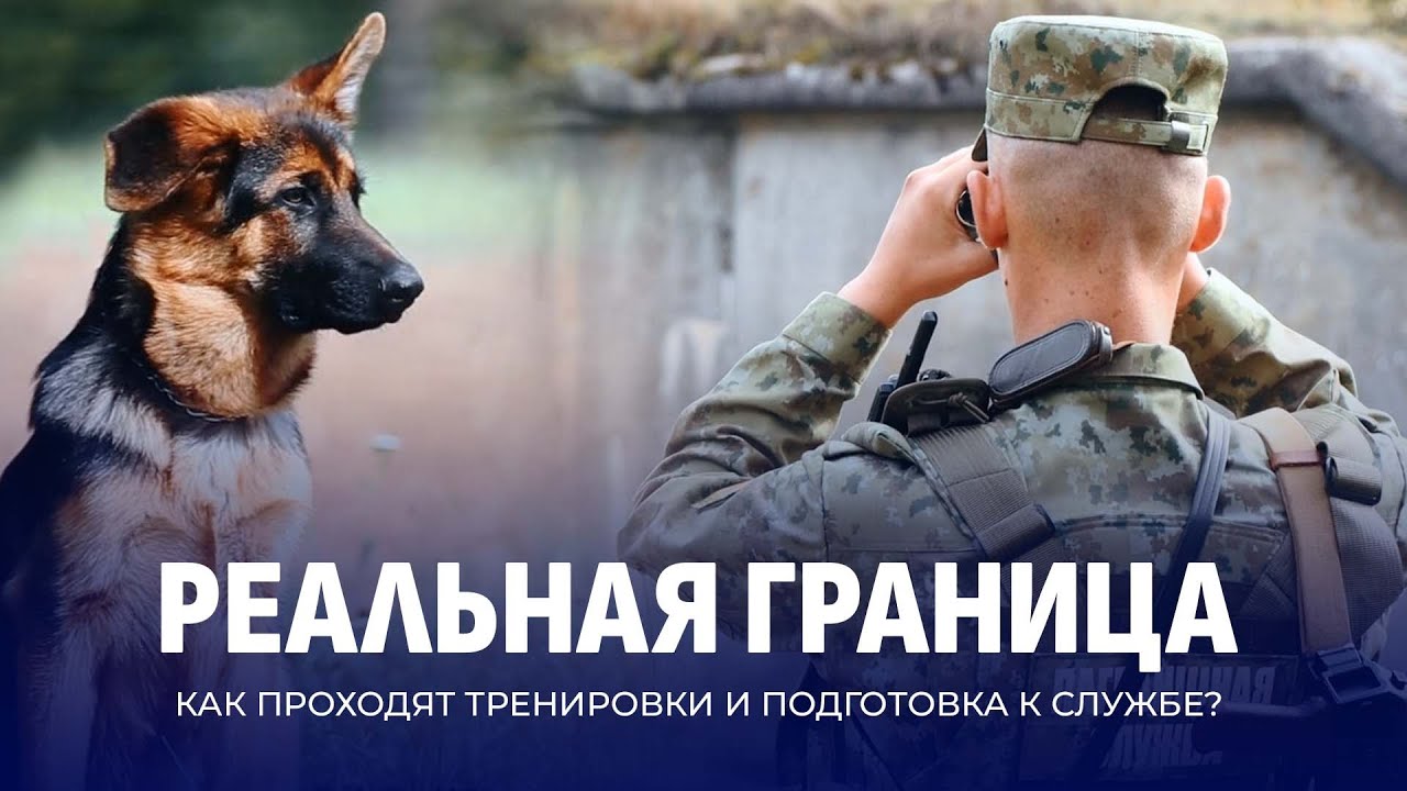 Граница на замке | От собак до дронов | Секреты белорусской пограничной службы. РЕАЛЬНАЯ ГРАНИЦА