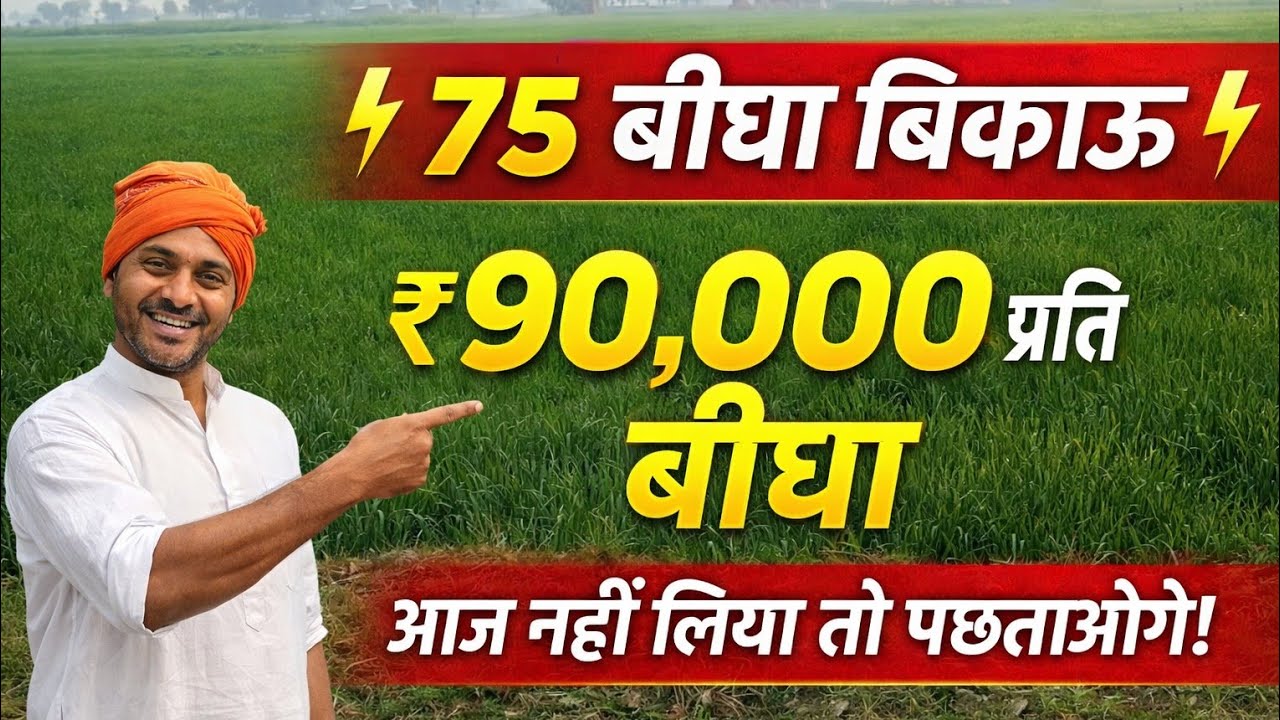 75.बीघा सस्ती जमीन बिकाऊ हैं मात्र ₹90 हजार प्रति बीघा में agricultur land for sale