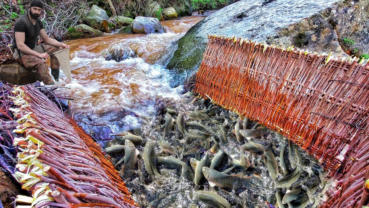 Fishing With Primitive Methods / Tamamen İlkel Yöntem İle Derede Balık Avı / Zero Technology