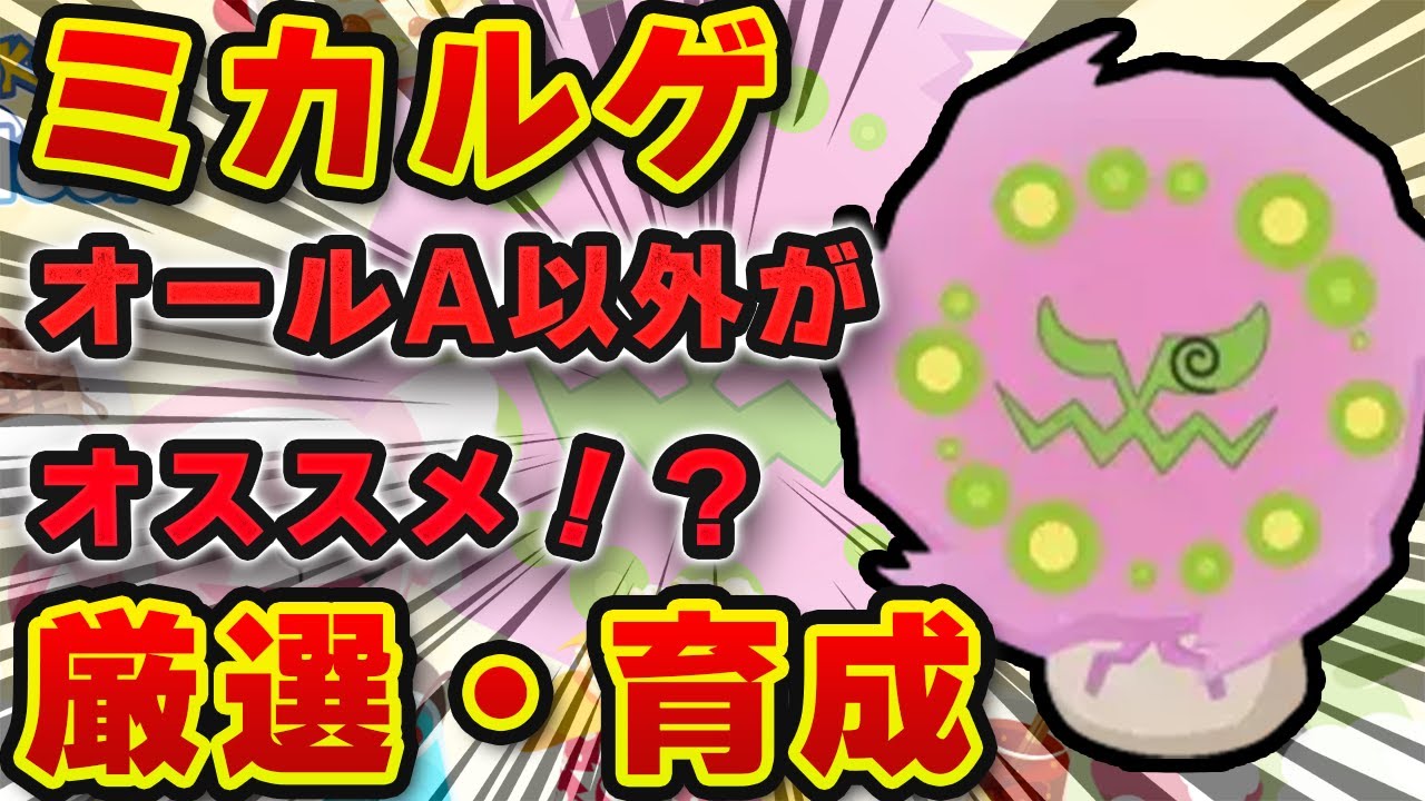 【ポケモンスリープ】ミカルゲは厳選するべき？？高エナジー3種持ちの将来性を徹底解説【無課金、微課金】