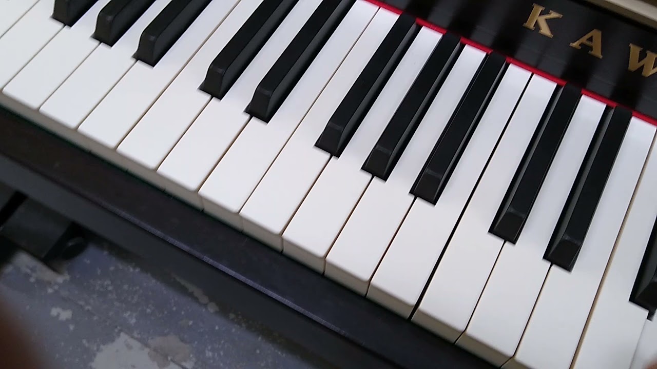 Kawai CA65