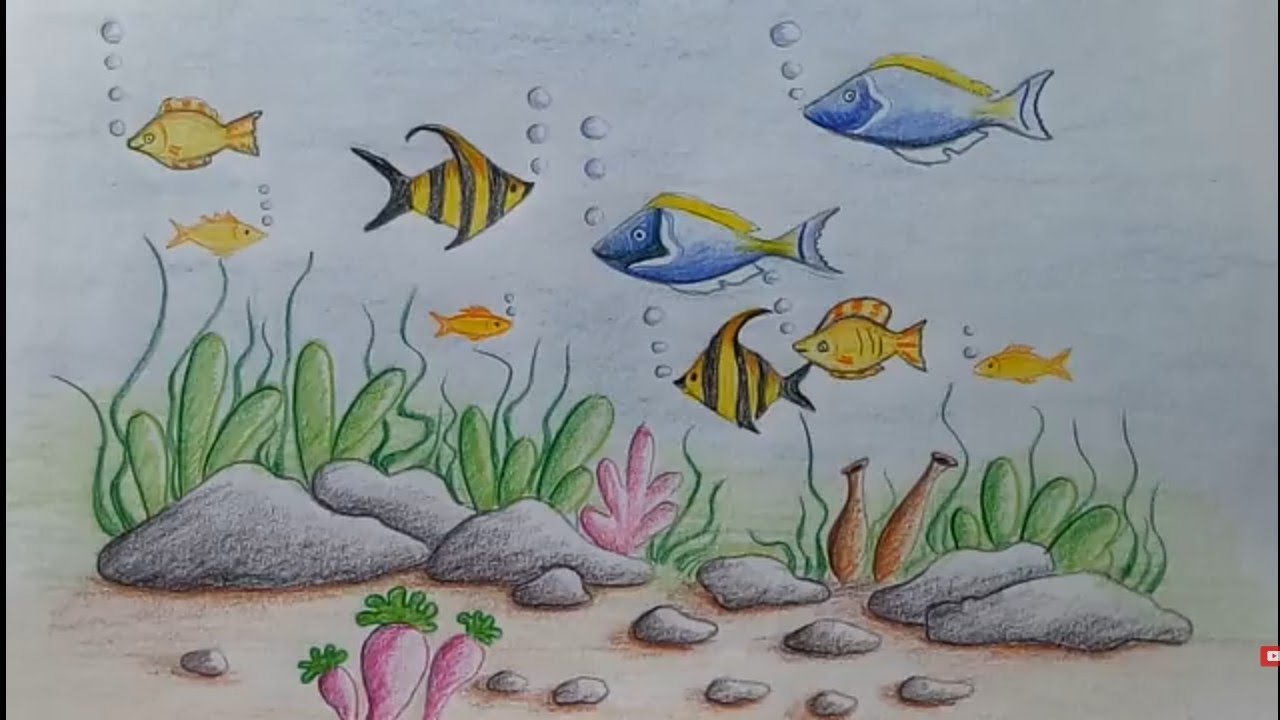رسومات تعليم رسم قاع البحر سهل خطوة بخطوة للمبتدئين رسومات للصيف ريشة سما 2021