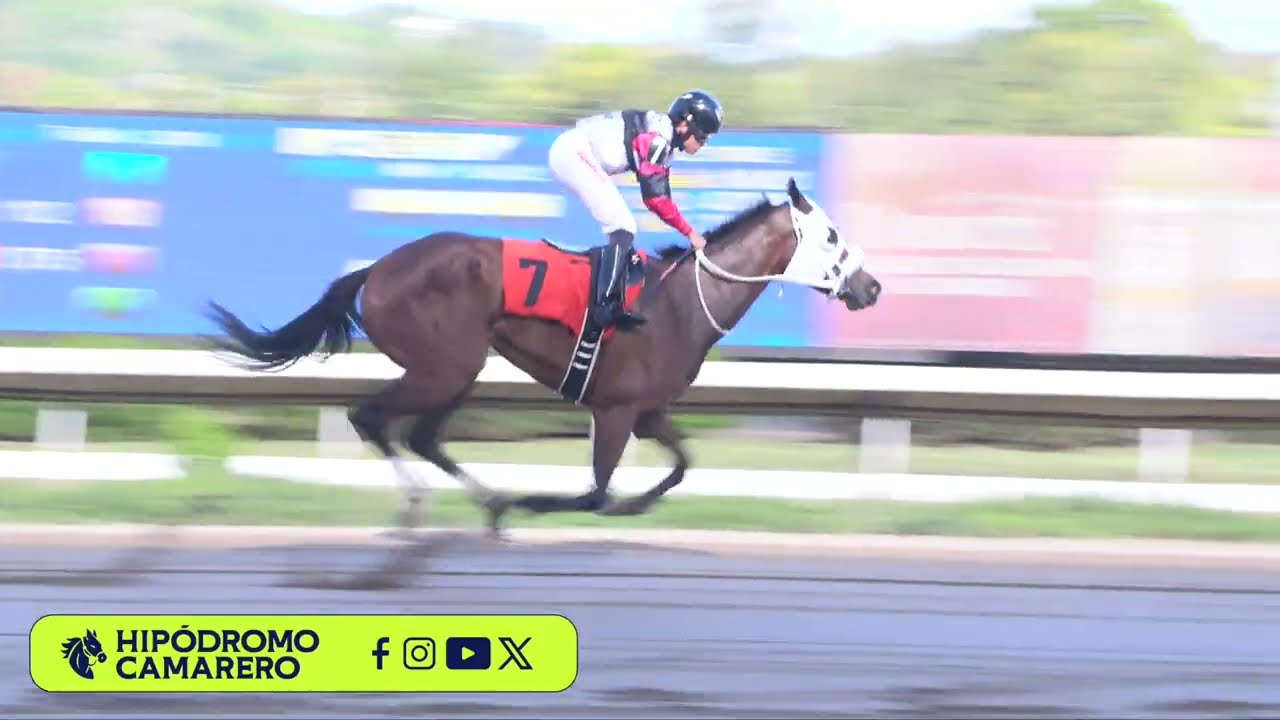 CARRERA 4 - 12/MARZO/2026 (MI NINA)