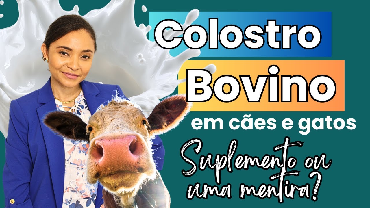 #COLOSTRO #BOVINO EM CÃES E GATOS E SEUS BENEFÍCIOS. SUPLEMENTAR É VÁLIDO?