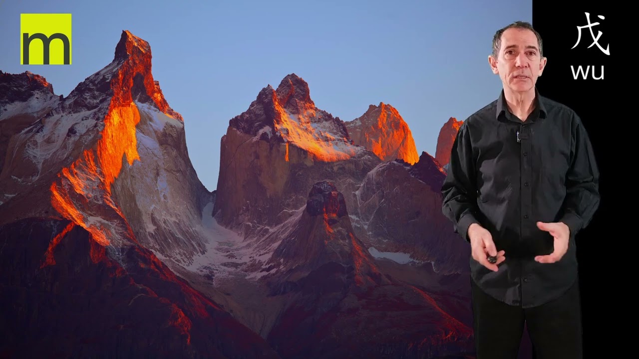 Maitre du Jour terre yang Wu