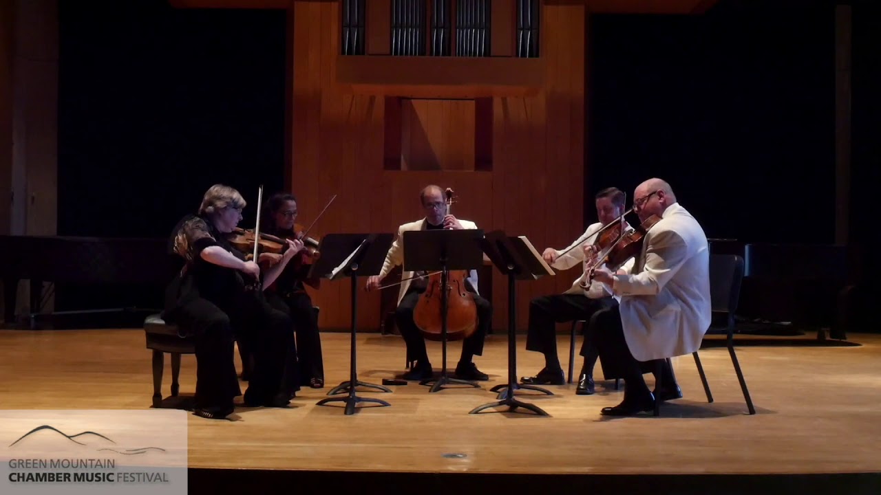 Alexander von Zemlinsky, String Quintet in D minor (1894), Allegro