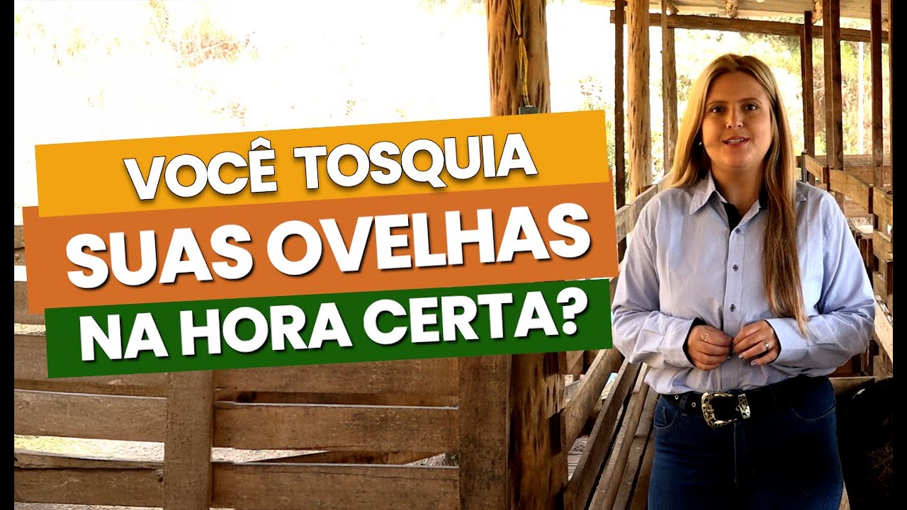 Você tosquia suas ovelhas na hora certa? Cursos CPT