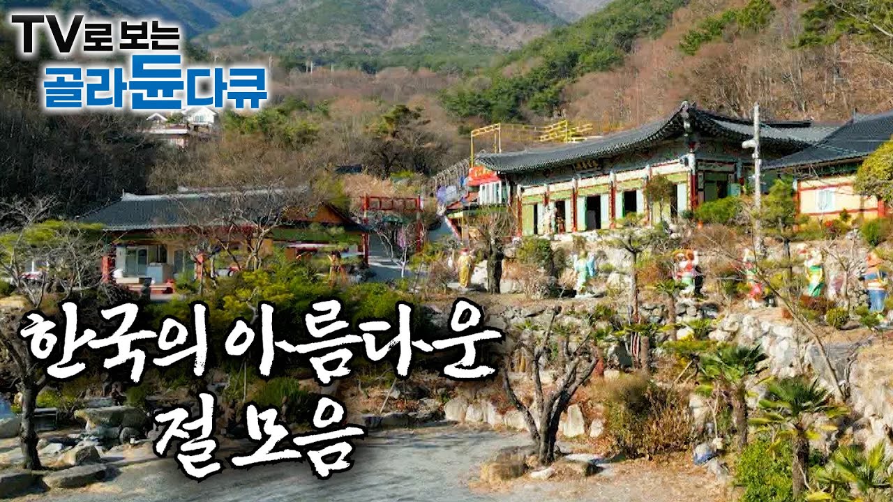 아름다운 사계절을 그대로 입은 대한민국 사찰 모음 ✨ㅣ향 냄새 가득한 사찰에서 보기만 해도 힐링되는 스님의 하루ㅣ힙하다 불교ㅣ도선사ㅣ관음사ㅣ약천사ㅣ화엄사ㅣ한국기행│#골라듄다큐