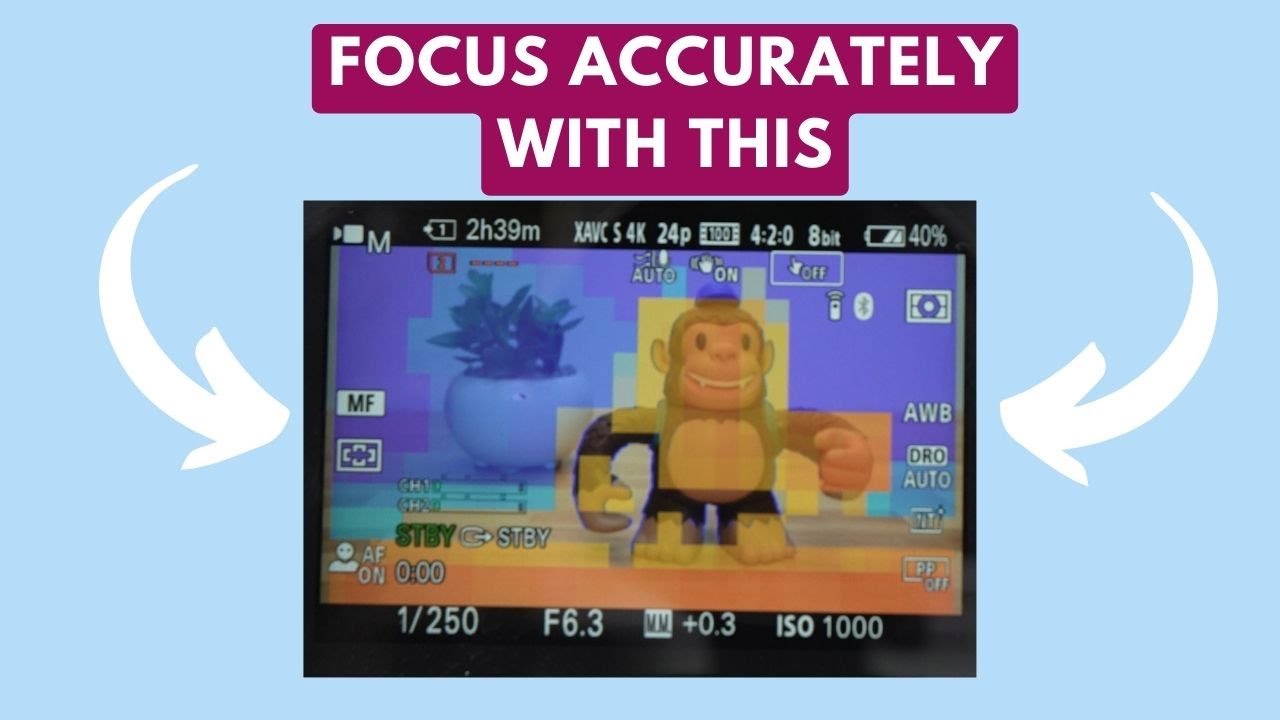What is Focus Mapping and How to Use It on Sony Cameras