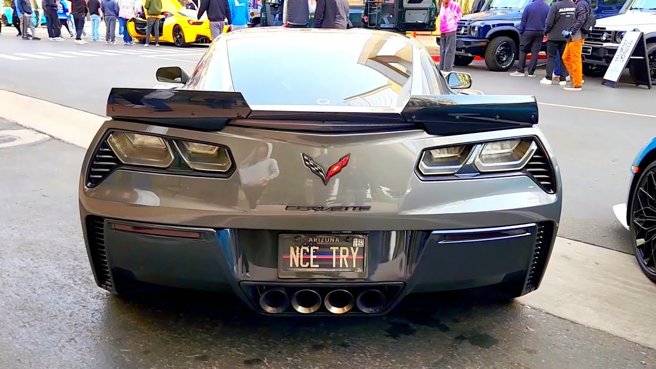 Cammed Corvette C7 Z06 LOUD start up!