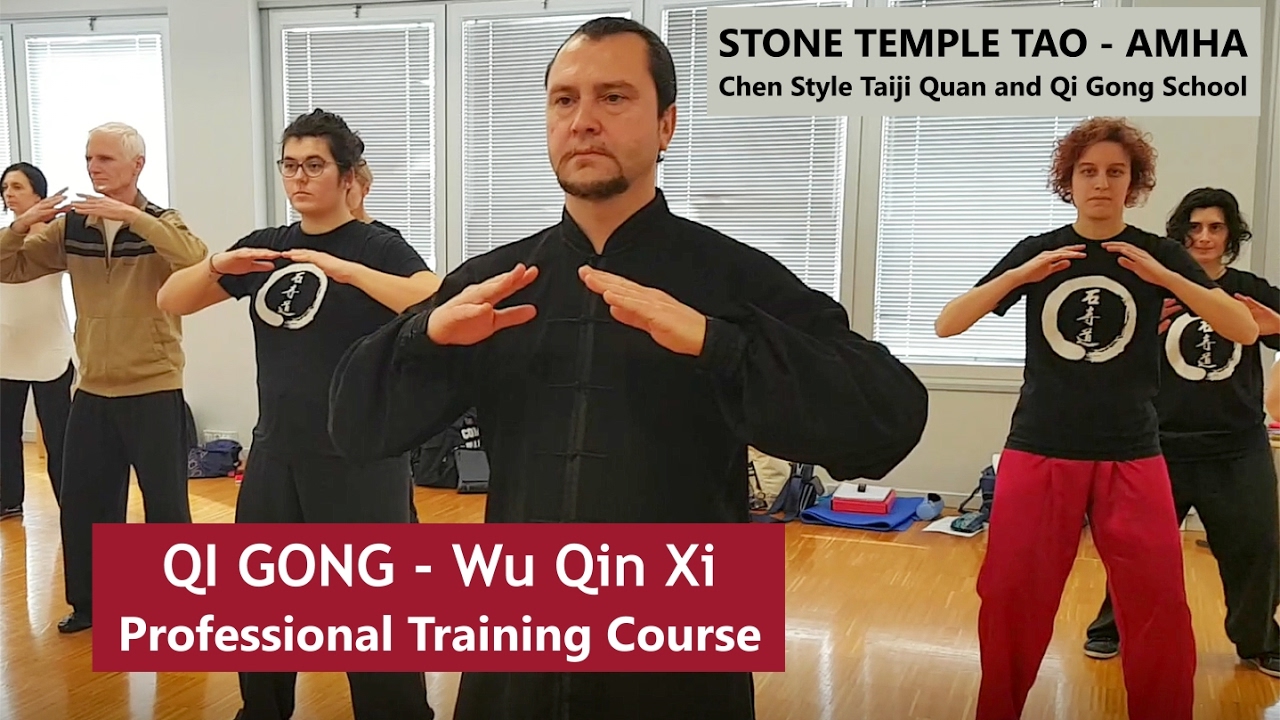 Wu Qin Xi - Five Animals Qi Gong - 五禽戏 气功 - Professional Course - Master Giuseppe Paterniti Lupo