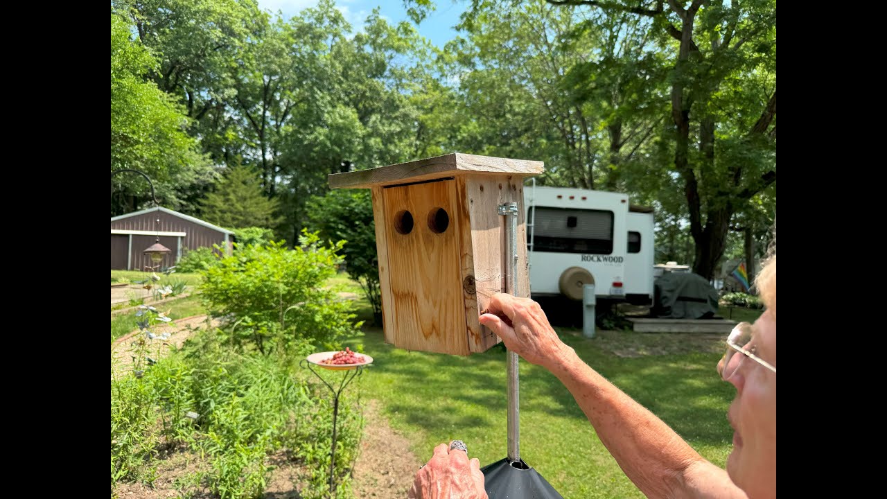 Mondays with Martha #251 - Shady Acres Campground Part 2: Nest Box Projects