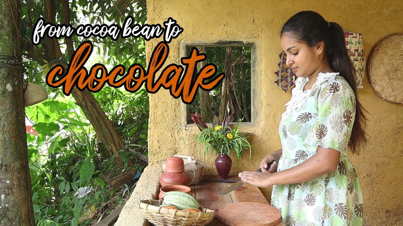 homemade chocolate bars, chocolate cake and drink from cocoa beans by village girl | village foods