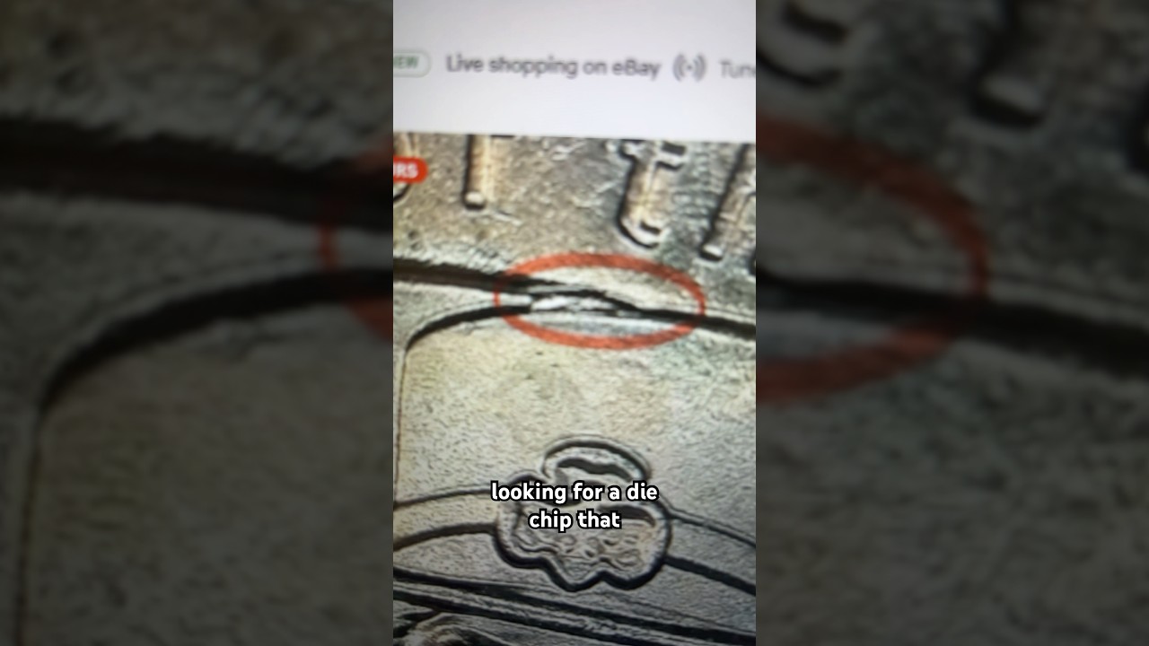 THREE NEW 2025 QUARTER ERRORS!!! #findingmoney #quarter #errorcoin #quarters #coin