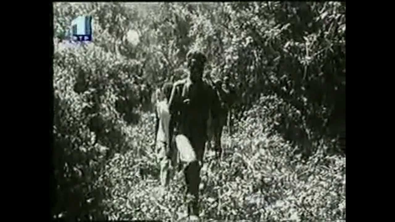 Operação «Mar Verde» - 22 de Novembro de 1970