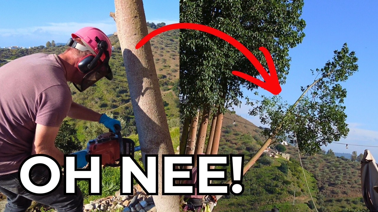 Dit ging bijna helemaal mis op onze finca! 🌳 GROTE BOOM OMZAGEN