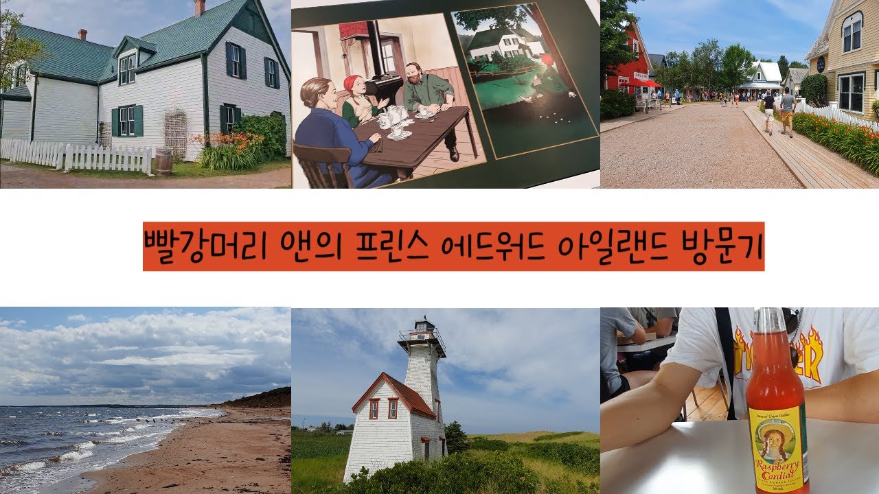 빨강머리 앤의 그린 게이블 🏡 | 캐나다 프린스 에드워드 아일랜드 감성 브이로그✈️ | 소설 속 풍경을 걷는 시간 🏖️|
