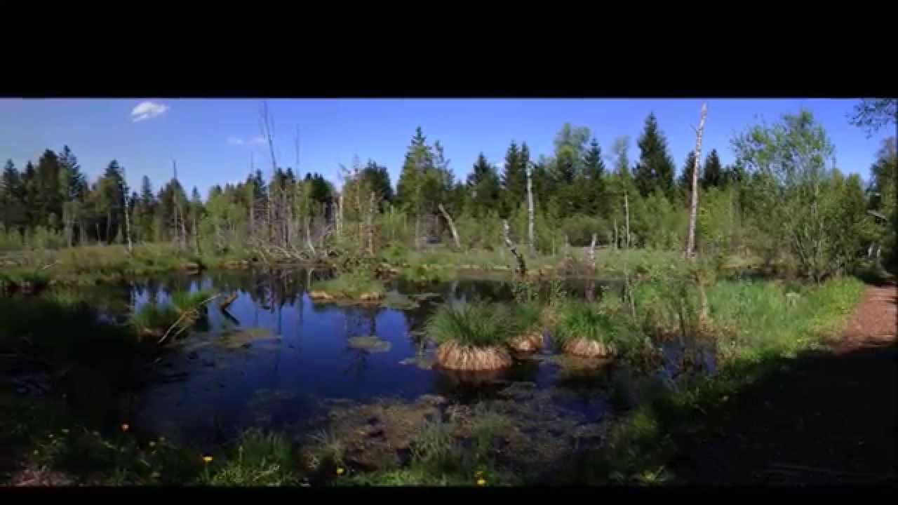 Legende von August Nölck