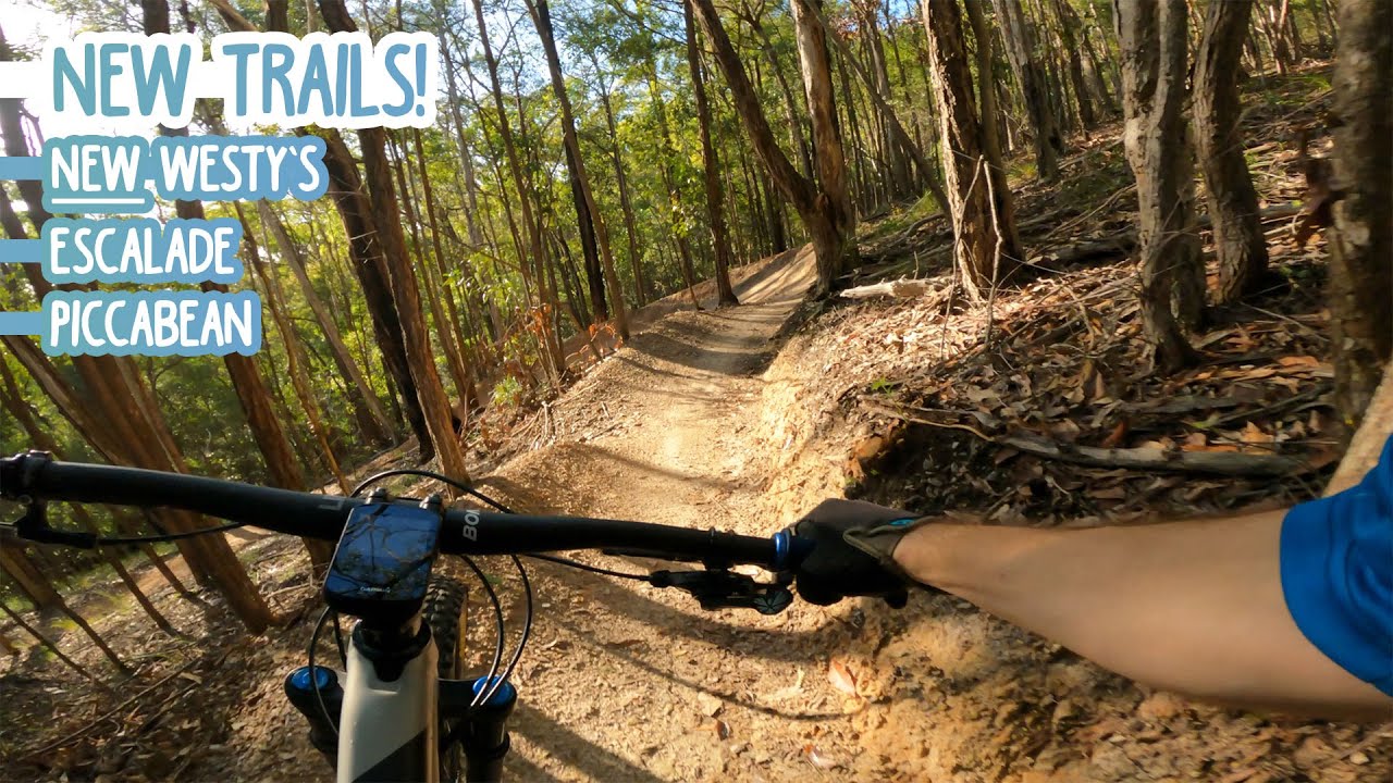 These NEW Trails are Amazing! - Eastern Escarpment Conservation Area