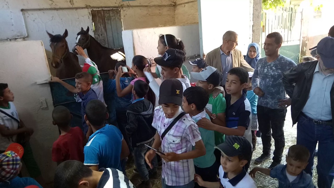 رحلة مركز تربية الخيول شاوشاوة بمناسبة 1 جوان 2017 آليوم العالمي للطفولة