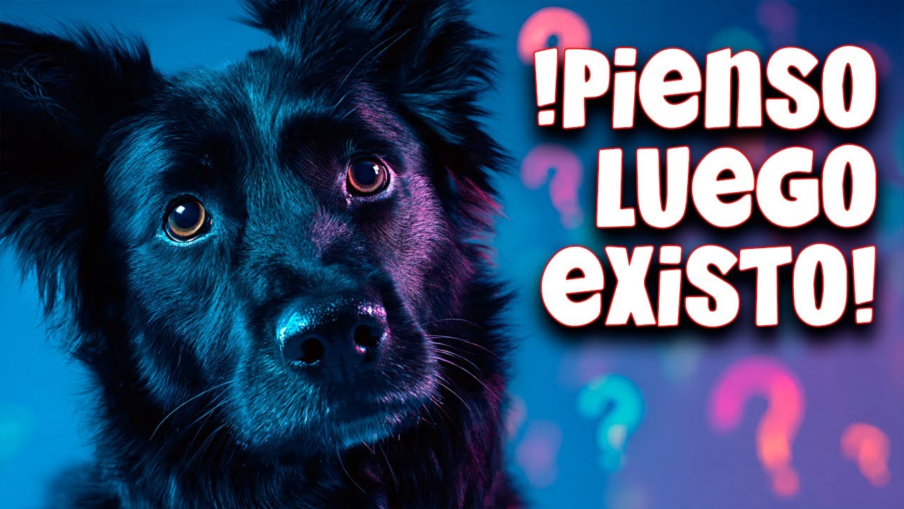 ¿Tu PERRO Te Entiende? Así Piensa en Realidad #dog