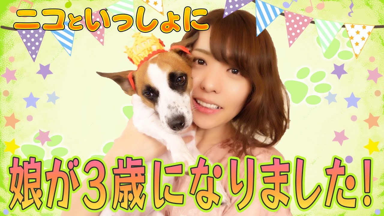生まれて初めて○○○を食べるニコの姿をお届けします【ニコといっしょに】【豊崎愛生】