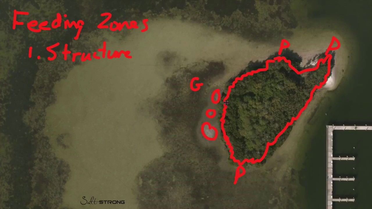 How To Find Inshore Feeding Zones Using Online Maps (Real-Life Example)
