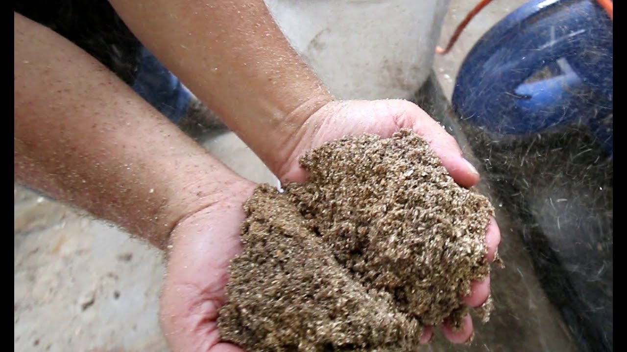 Hirschkäfer Substrat - Mit der Hammermühle hergestellt
