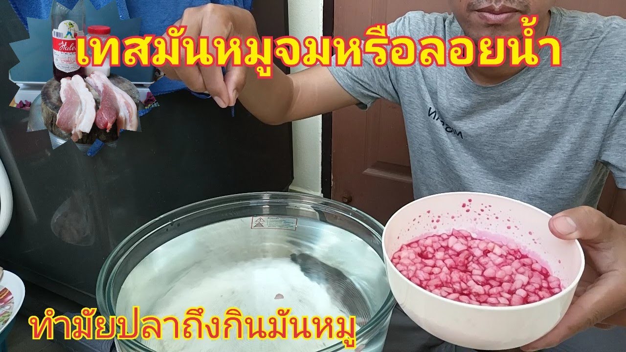 เทสมันหมูตกปลา (จมหรือลอยน้ำ) ทำมัยปลาถึงชอบกินมันหมูคลิปนี้มีคำตอบ
