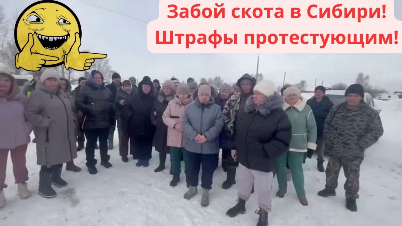 Забой скота в Сибири! Коровы кончились! Взялись за протестующих!