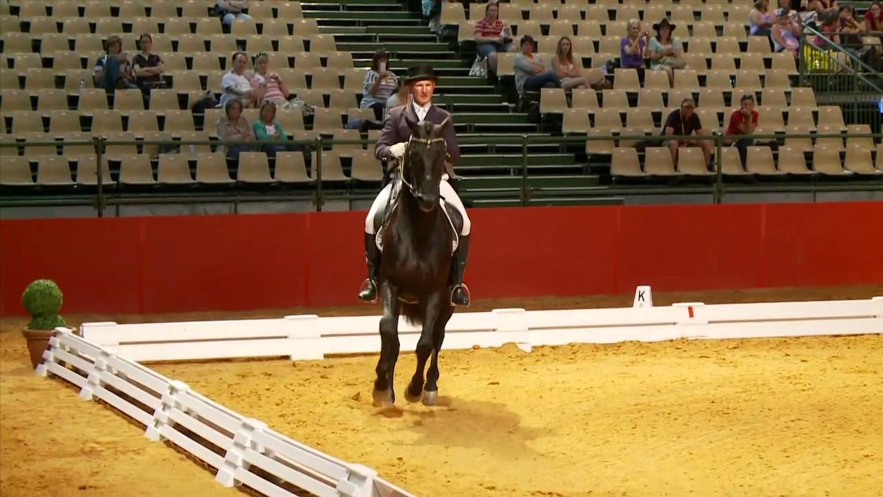 Heath Ryan on Regardez Moi Grand Prix CDI-W Equitana