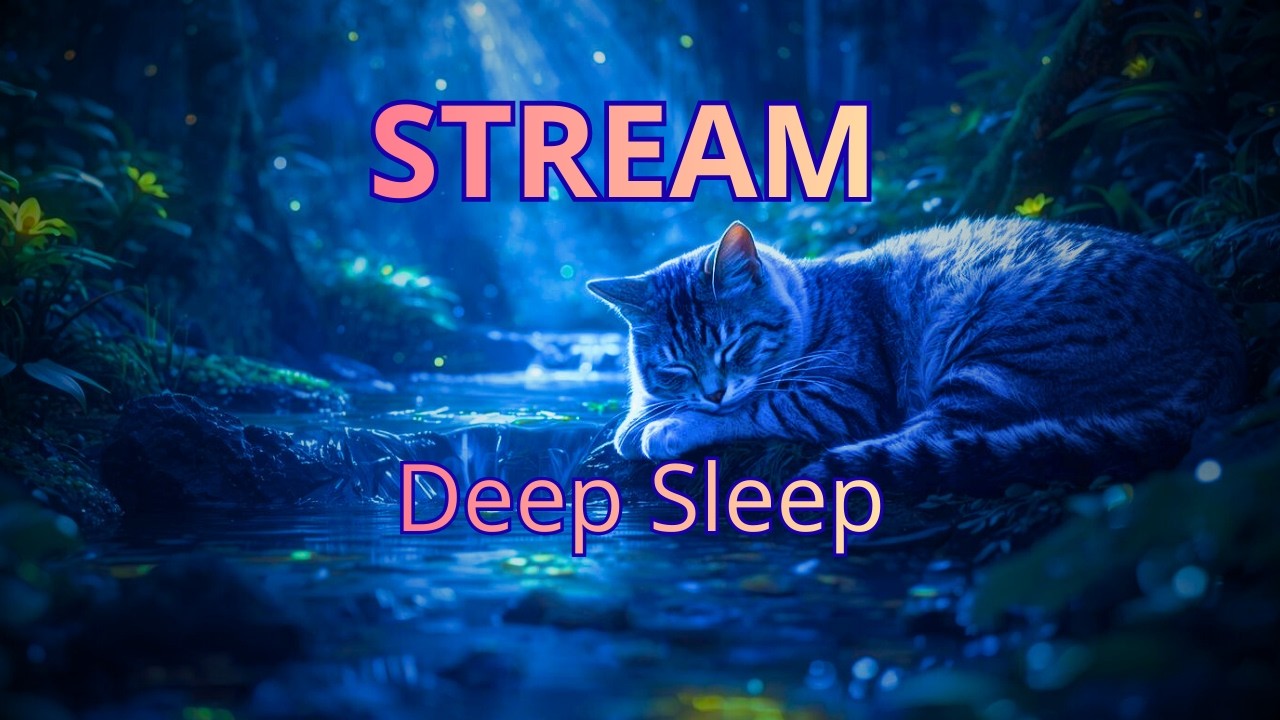 Cat Purring & Forest Stream Sounds for Sleep 🌙 Enchanted Forest Ambience (30 Min)