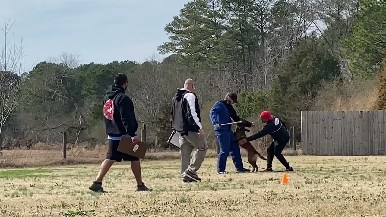 PSA PDC PROTECTION - Fred Hassen and Musk.