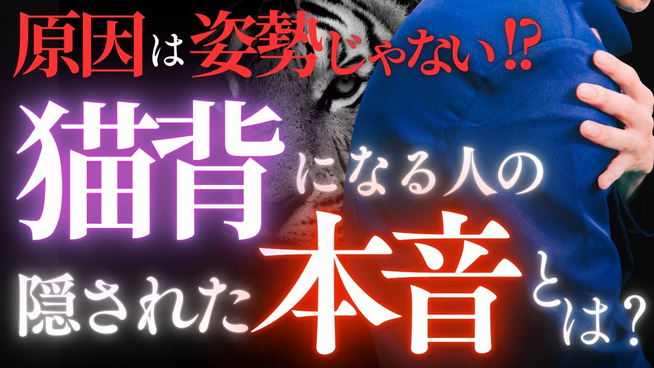 【体癖6種】猫背の姿勢に隠された体からのサインとは？【性格・才能・強み・弱み】