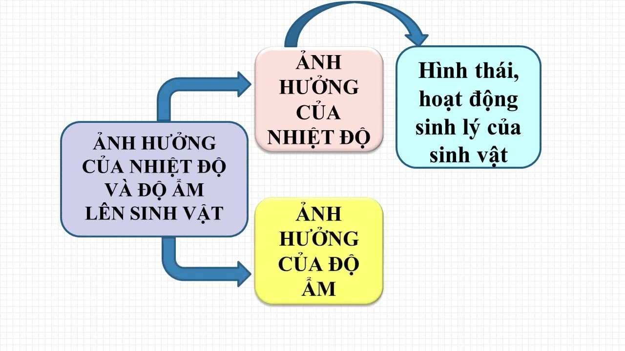 Quận Tân Phú - THCS Thoại Ngọc Hầu - GV Nguyễn Hoàng Long - Bộ môn Sinh học