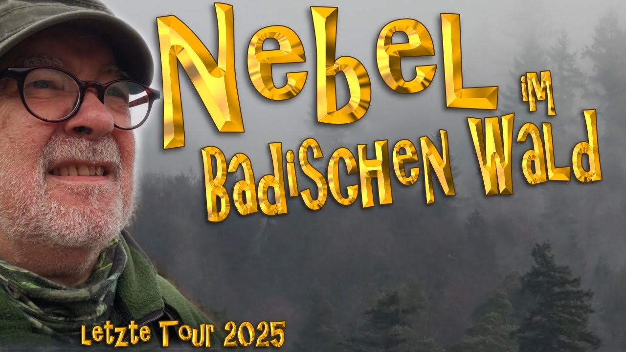 Nebel im Badischen Wald - Auf dem Hanfackerweg nach Pforzheim