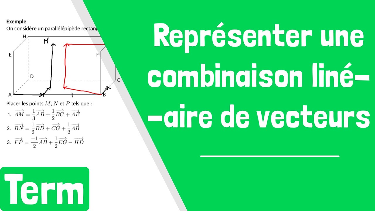 Comment représenter une combinaison linéaire de vecteurs ?