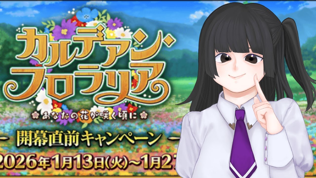 【FGO】深夜にしっぽりイベント【新米マスター】