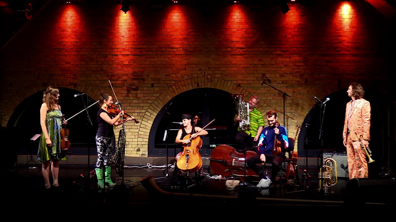 MATTHIAS SCHRIEFL SHREEFPUNK PLUS STRINGS