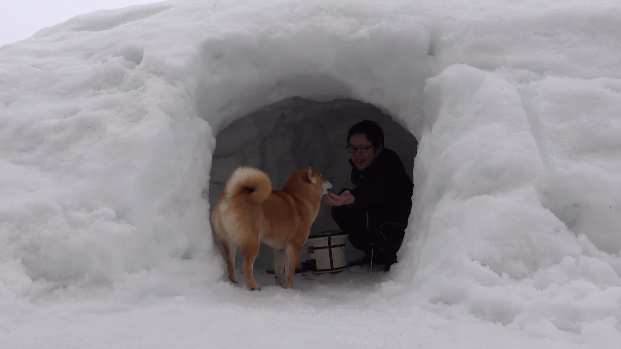 いつも大好きな柴犬に感謝を込めて‥雪の焼き鳥屋さん開店してみた。