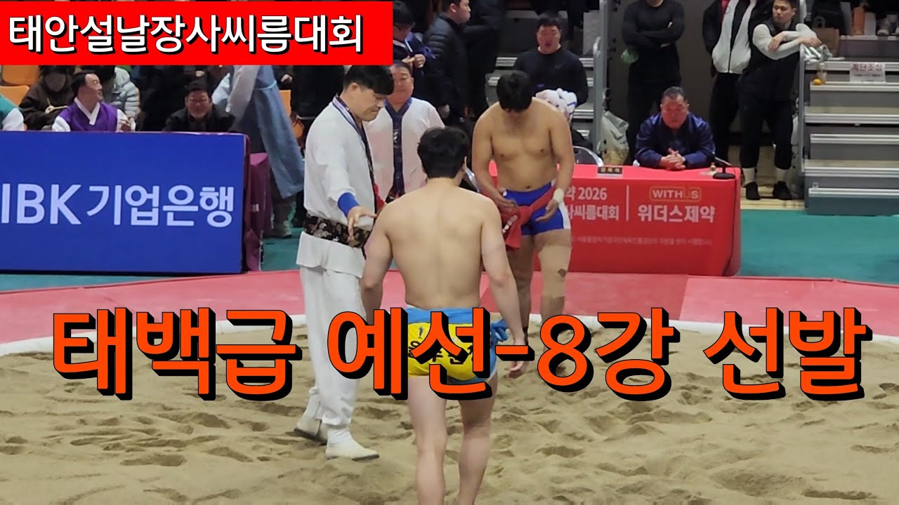 태백급 예선 -8강선발전 / 2026태안설날장사씨름대회/ 태안종합실내체육관 #할리Sports #씨름대회 #오늘도한편 #족구대회 