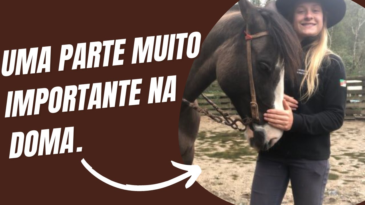 Enfrenada - Como faço todas as etapas